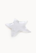 enfeite-estrela-do-mar-8699872014165