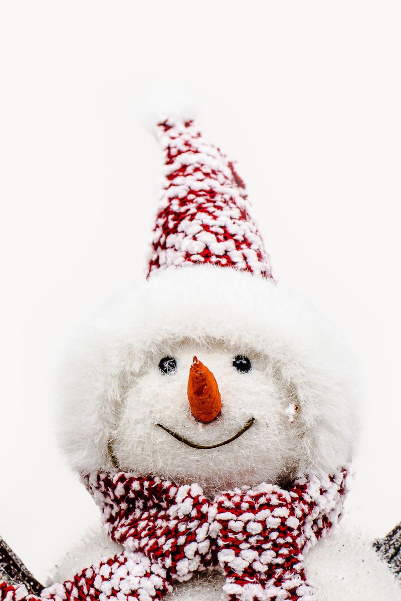 boneco-neve-7908236077854--2-