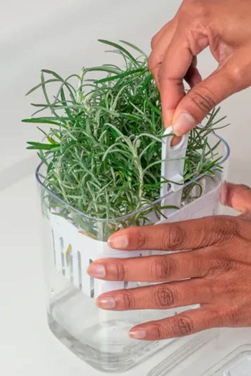 Organizador de Temperos Clear Fresh em Acrílico 1,5l