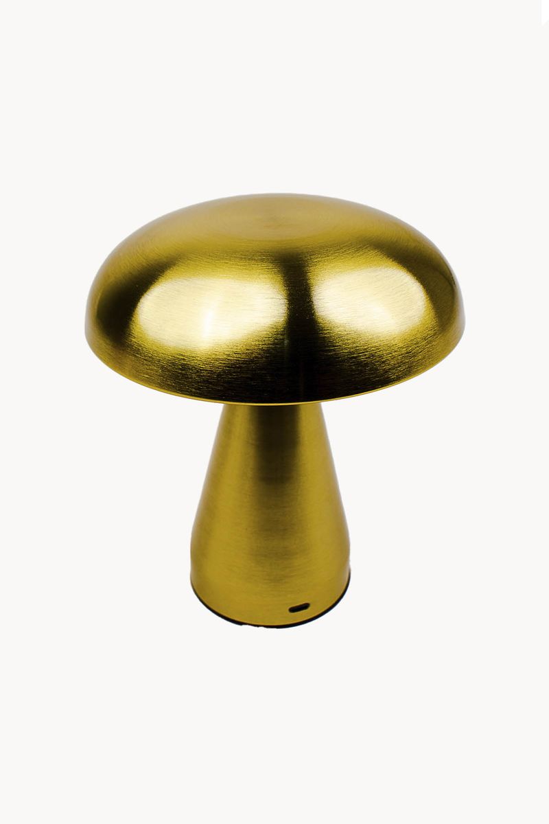 7899594155561-2
