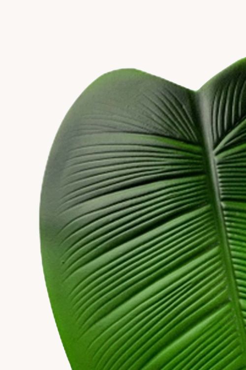 Jogo Americano Folha