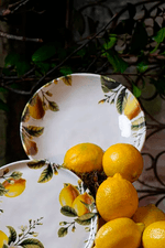 limonata fundo.png
