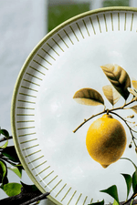 lemon raso2.png