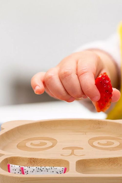 Prato Urso com Ventosa Ecokitchen em Bambu
