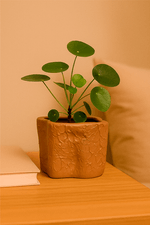 vaso mini1
