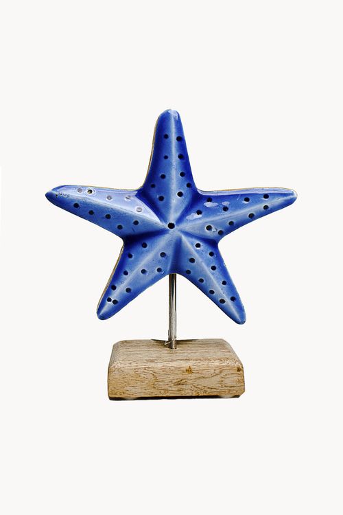 Estrela Decorativa em Madeira
