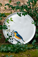 prato raso bio birdy1