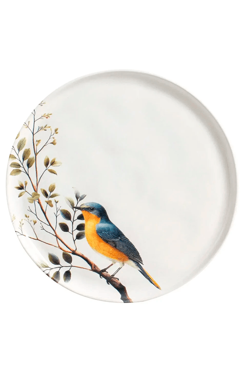 Prato Raso Bio Birdy
