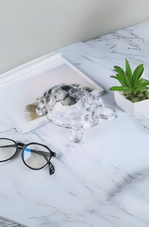 Tartaruga Decorativa em Vidro Tamanho G