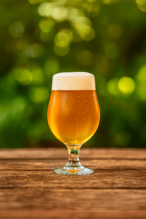 taca de cerveja 380ml1