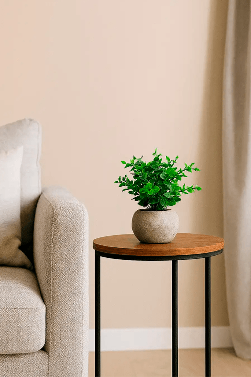 vaso com plantinha decoracao1