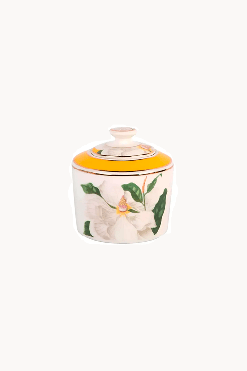 acucareiro-new-bone-china-2