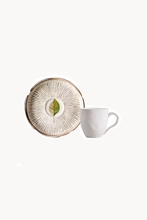 xicara-cafe-bio-evergreen-2