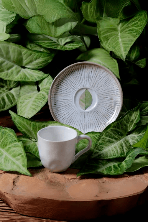 xicara-cafe-bio-evergreen-1