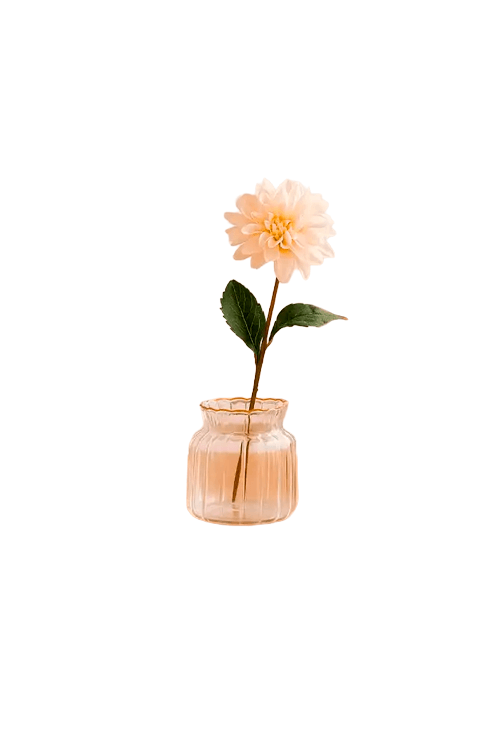 Mini Vaso Trouxinha em Vidro