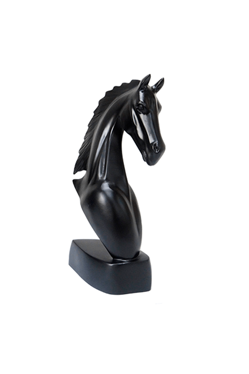 Cavalo Raio Medio Preto