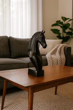 Cavalo Raio Medio Preto1