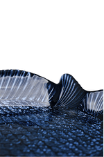 travessa de peixe decorativa azul 02