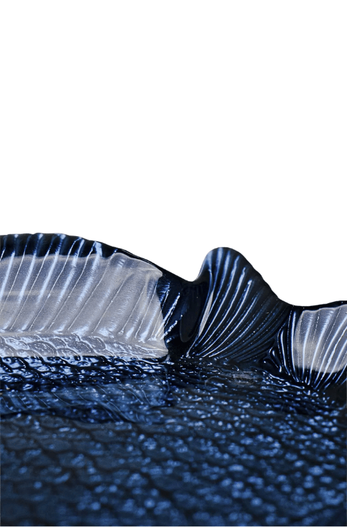 travessa de peixe decorativa azul 02