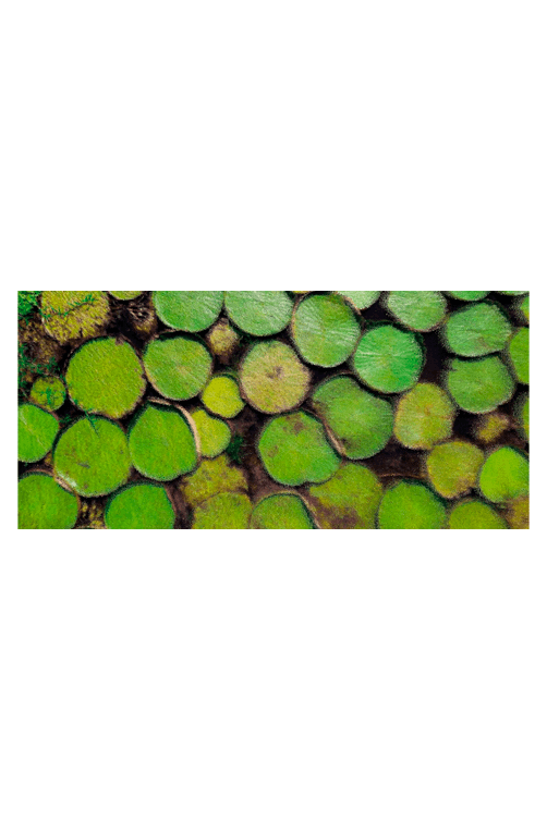 livro amazonia ricardo martins1