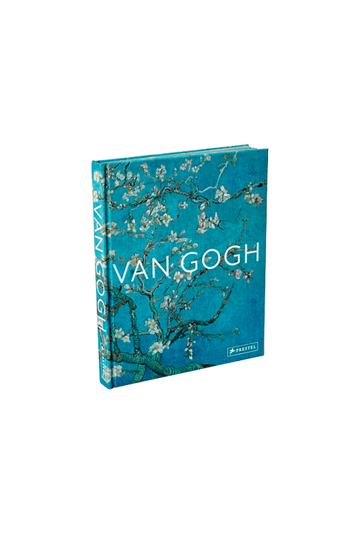 livro van gogh sefriou