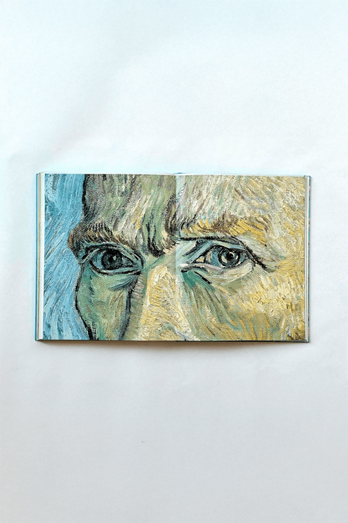 livro van gogh sefriou2