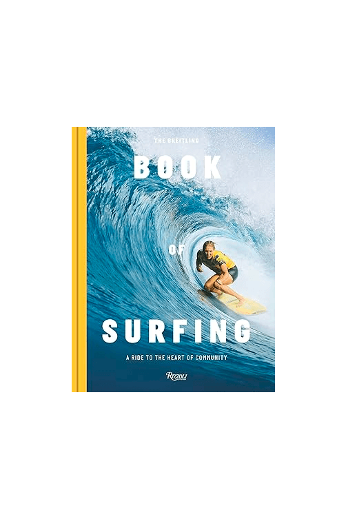 livro surfing