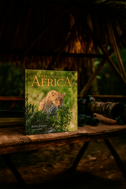 livro experiencing africa1