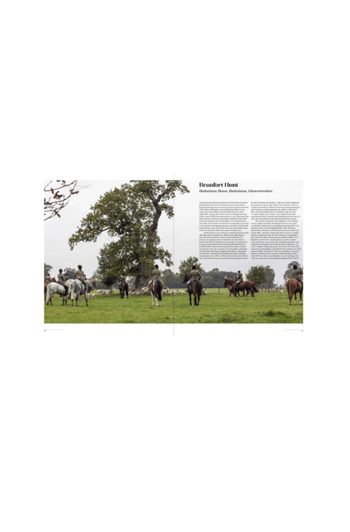 livro cavalo preto 03