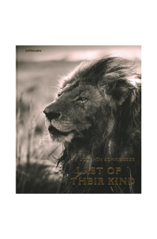 livro leao 01
