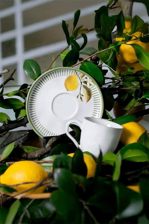 xicara bio lemon1