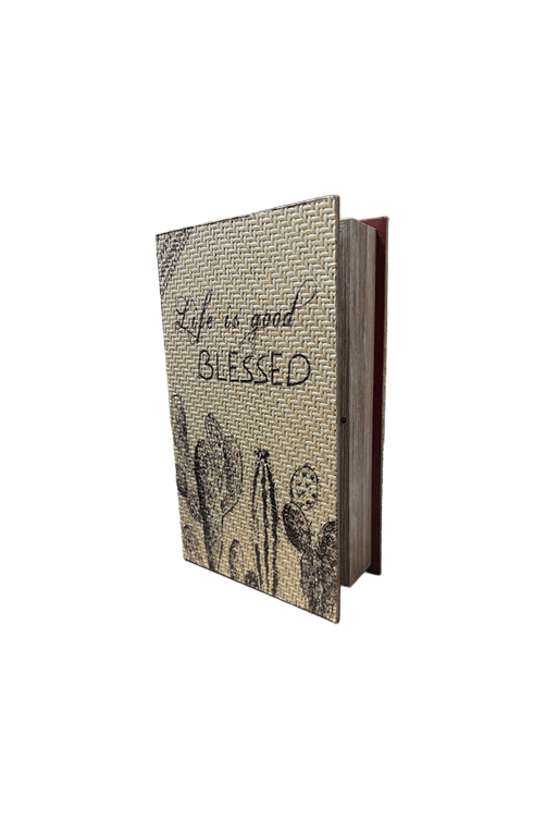 livro caixa blessed