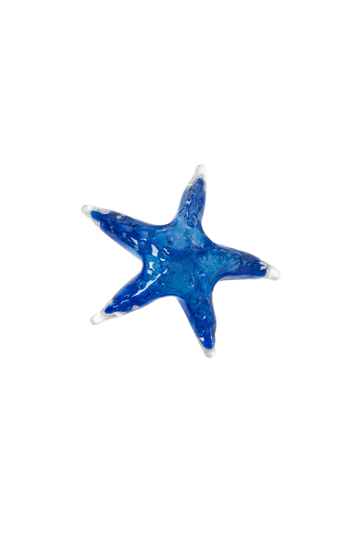 estrela do mar vidro