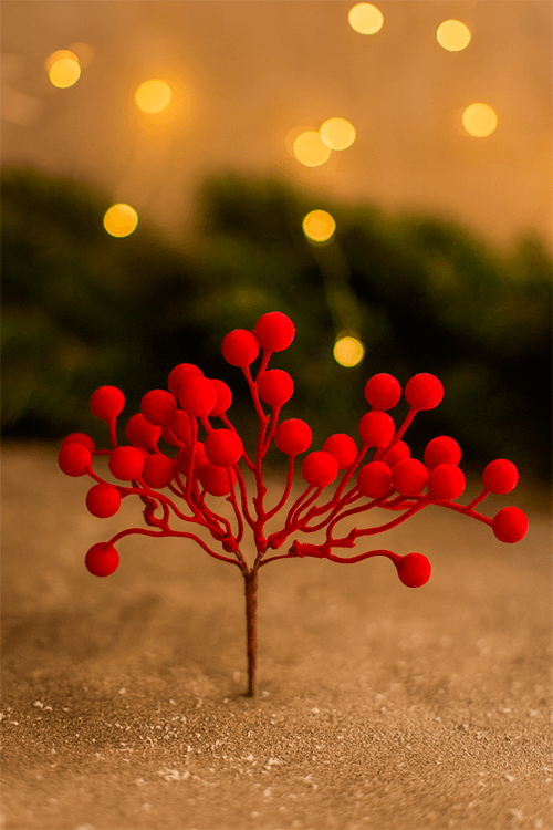 Galho Curto de Azevinho Natalino Vermelho