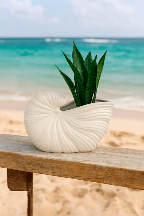Vaso Decorativo de Cerâmica Concha Fosco Off White