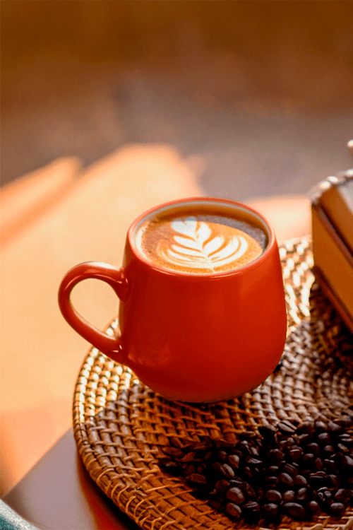 Conjunto de 4 Canecas Boho Terracota 440ml