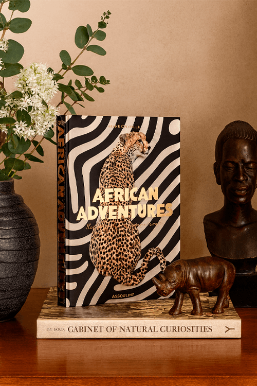 Livro Decorativo African Adventures Aline Coquelle