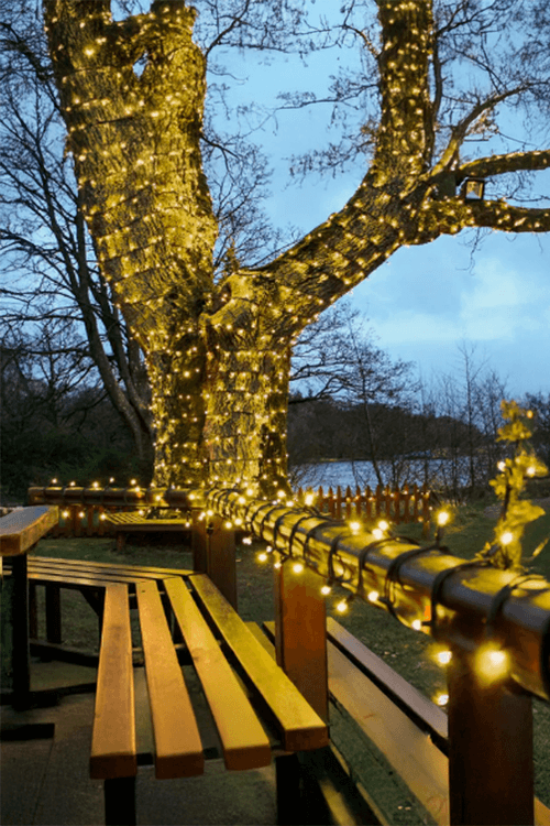 Pisca Pisca 9M Fio Verde 100 Leds Branco Quente